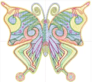 butterfly