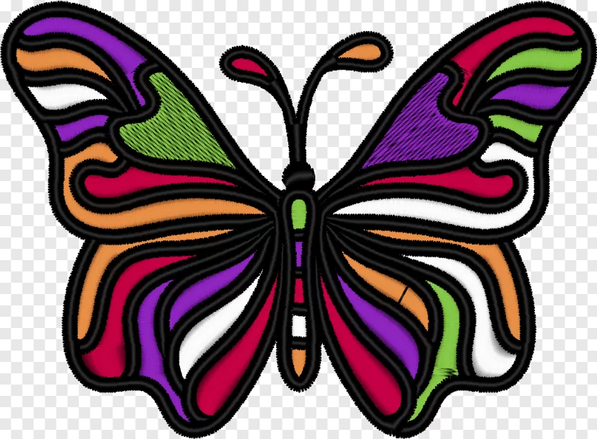 butterfly